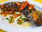 Grilled Catfish